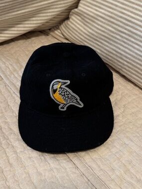 Sandlot Goods Black Vintage Flatbill Hat - Meadowlark